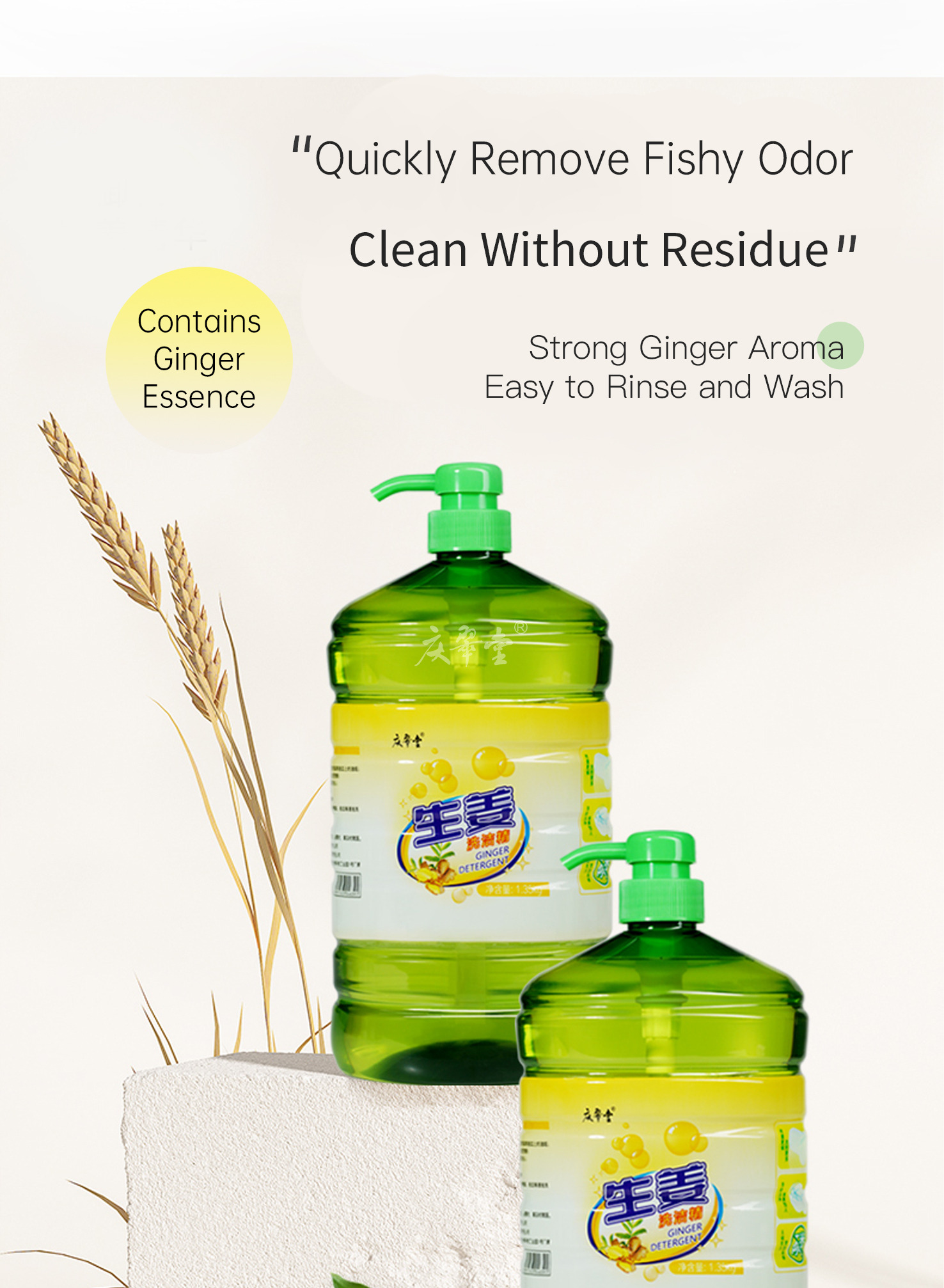 2-Ginger Dishwashing Liquid-Details