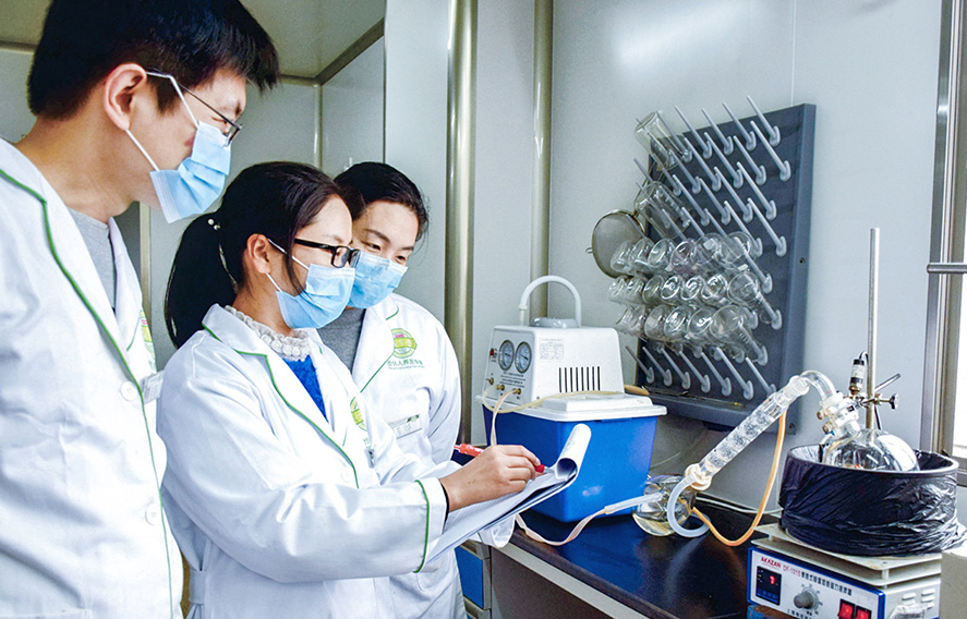 Formula Design and Prototype Development