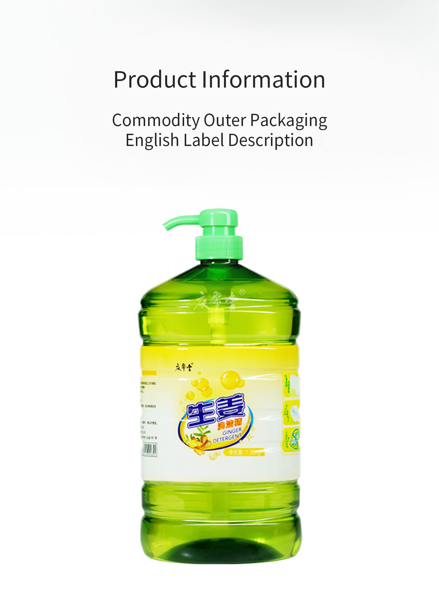 6-Ginger Dishwashing Liquid-Details