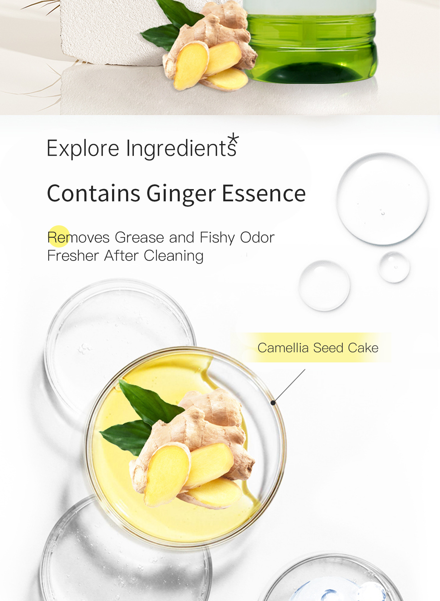 3-Ginger Dishwashing Liquid-Details