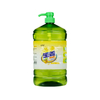 Ginger Dishwashing Liquid